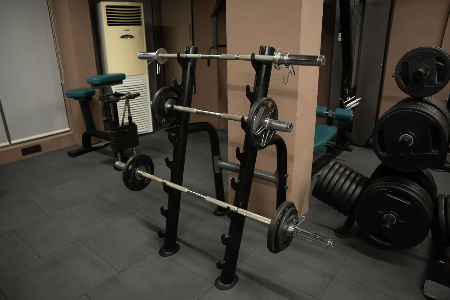 gym-3